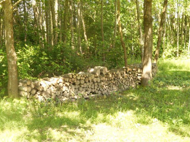Camping Les Arbois Hotel Montjay  Exterior foto
